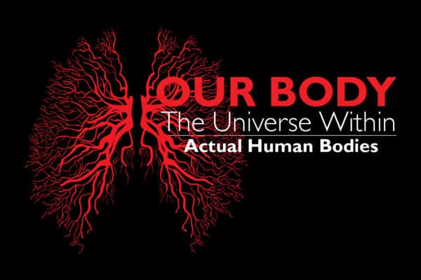 Our Body: The Universe Within